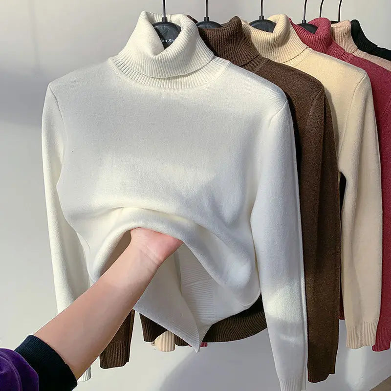Winter Bliss Turtleneck